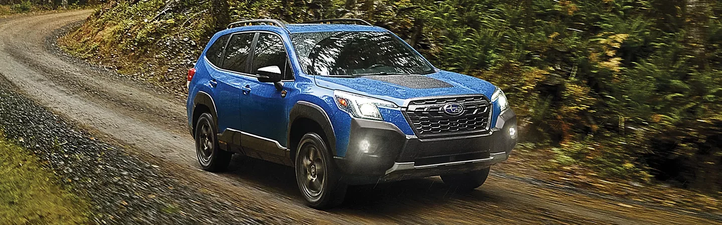 Blue 2024 Subaru Forester Wilderness driving in the forest