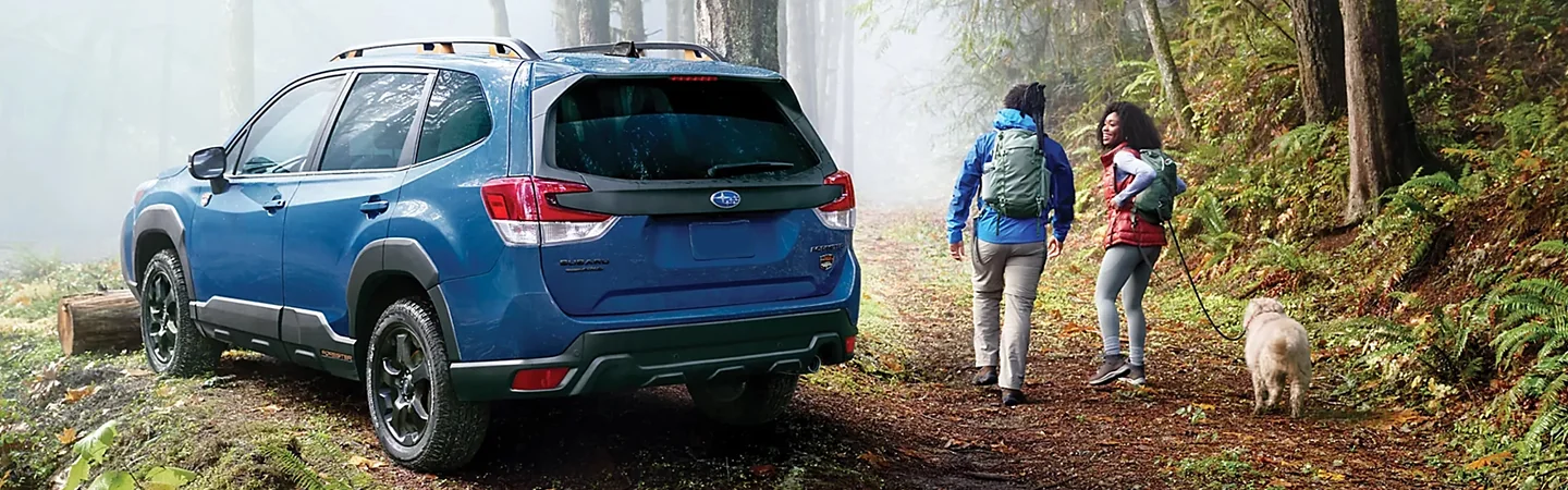 back view of a blue 2024 Subaru Forester Wilderness parked in the forest
