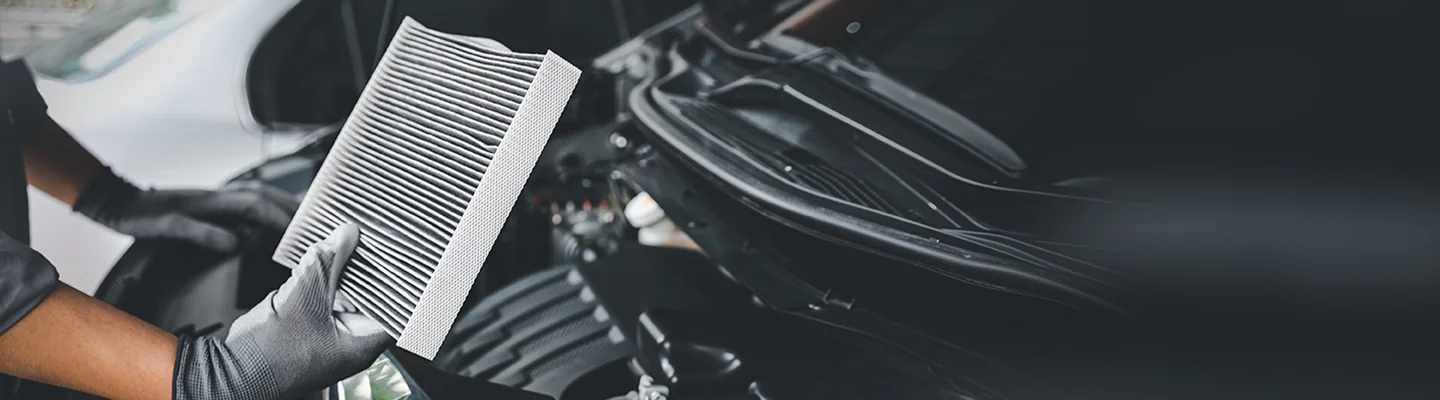 What Services Do We Offer at Land Rover Tampa?