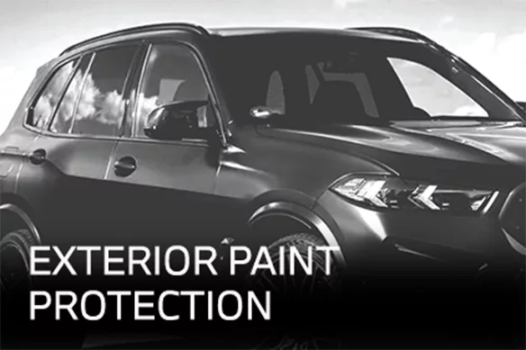 exterior paint protection