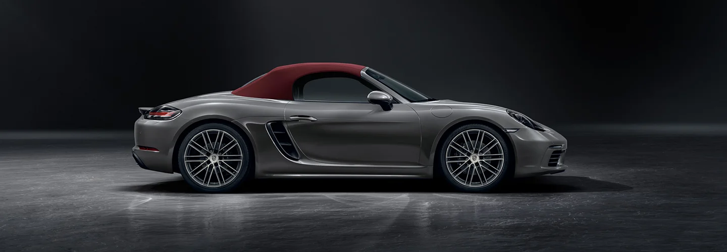 new Porsche in profile