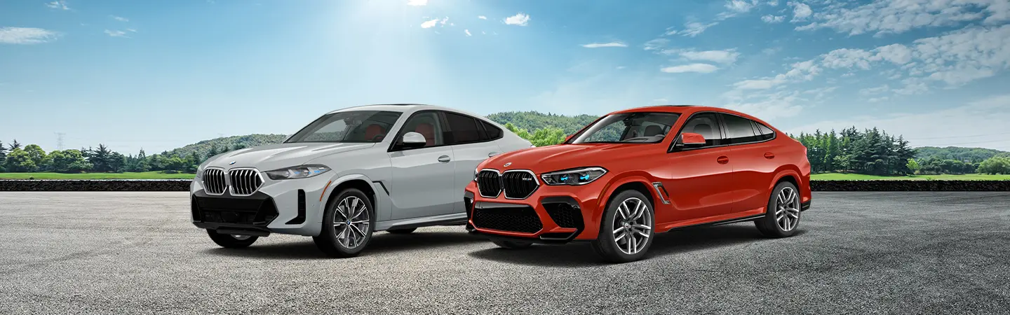 2025 BMW X6 Specs blue color and back view