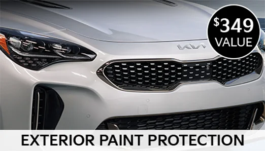 Exterior Paint Protection