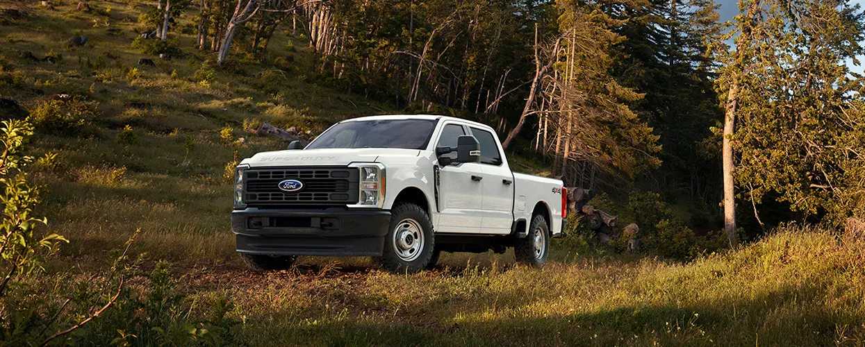 Ford Truck parked on a dirt road in the forest