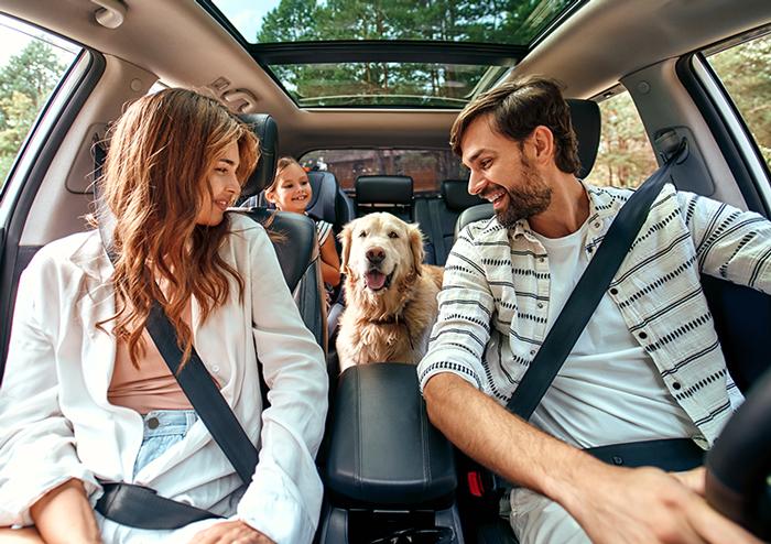 Family driving in car