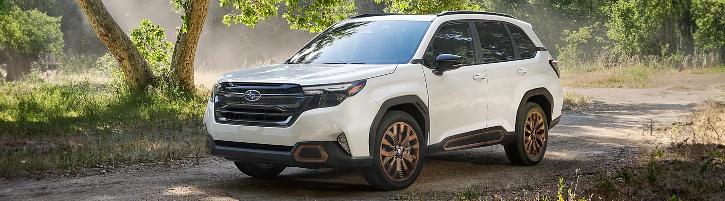 More Spacious with Better Features