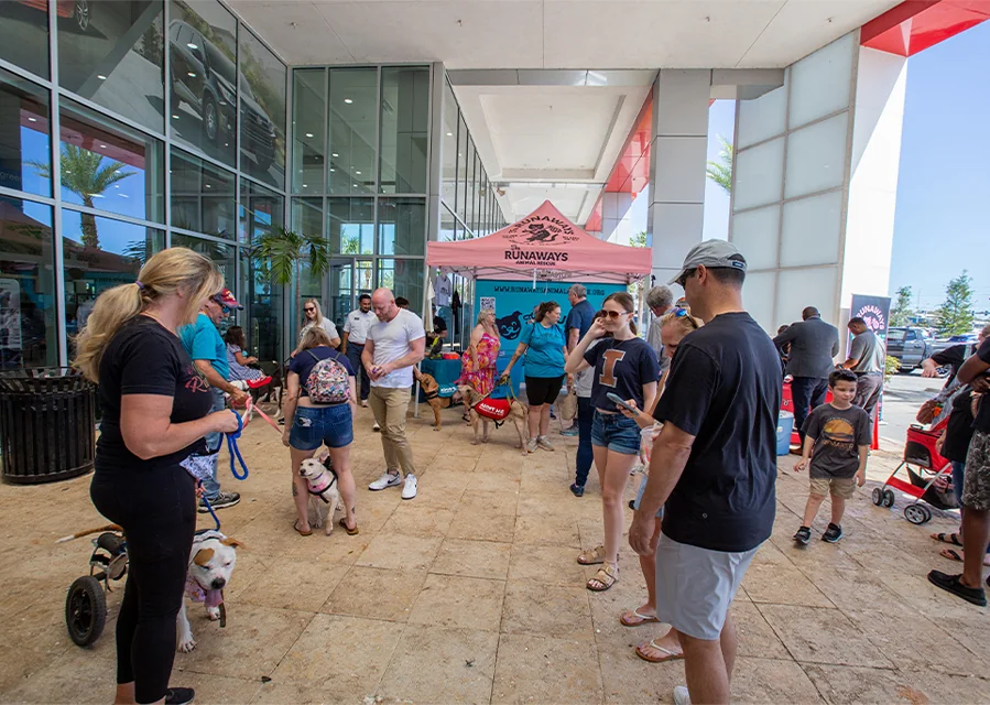 inside of dealership showing the crowds for the Pet Adoption Event in partnership with Hits 106 and Runaways Animal Rescue.