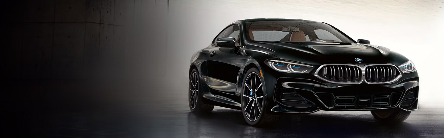 2024 BMW 8 Series Coupe black color frontview