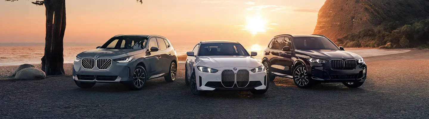 What BMW Model is Right For You