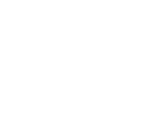 Alignment icon