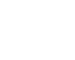 battery icon