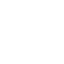 Brake icon