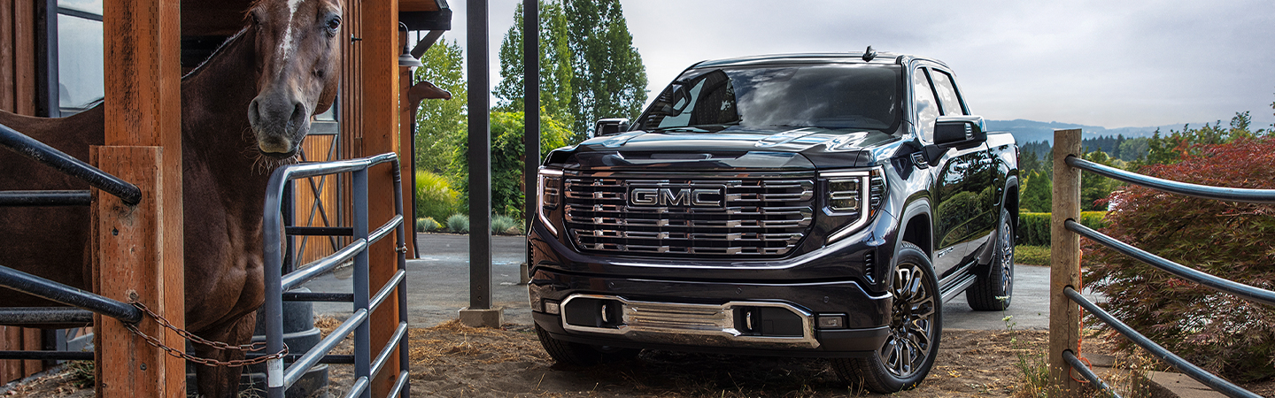2024 GMC Sierra 1500 front side in black colour