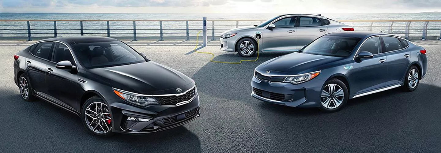 Kia vehicles parked on a bridge