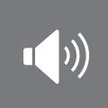 INFOTAINMENT icon