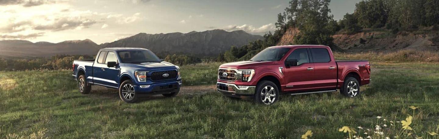 2 Ford F-150 parked in the grass