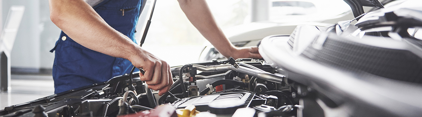 Checklist items for Fall maintenance service in Golden Valley, MN