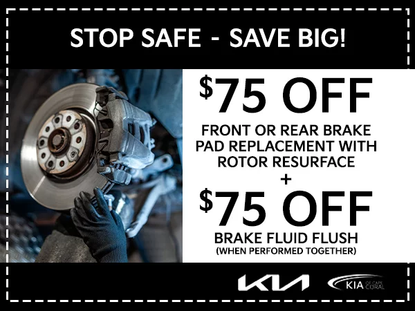 Brake Pad