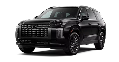 2025 Hyundai Palisade Calligraphy Night
