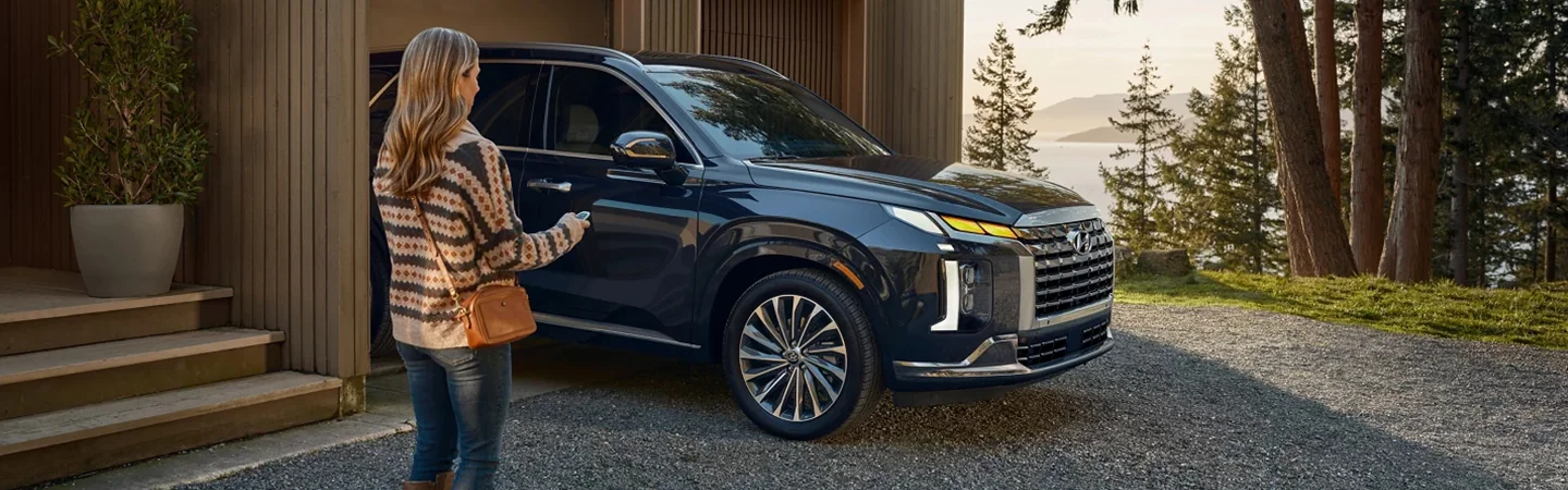 2025 Hyundai Palisade in driveway with person about to enter car