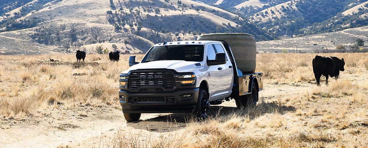 a RAM Truck on the job delivering feed to cattle on dirt road with mountains in distance