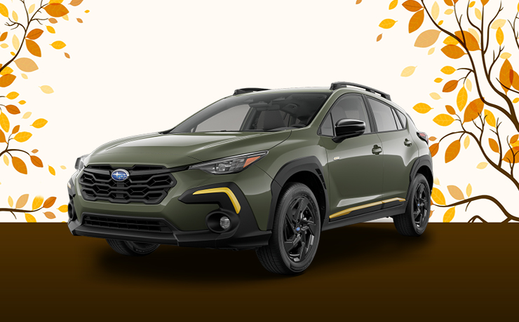 Subaru on a fall background