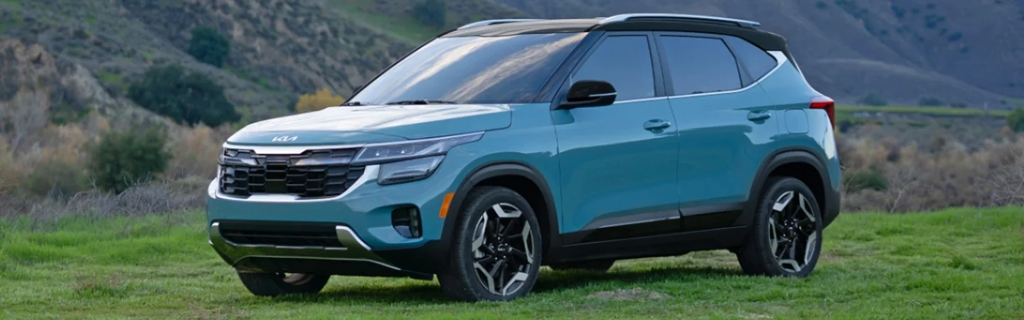 Kia Seltos parked on grass