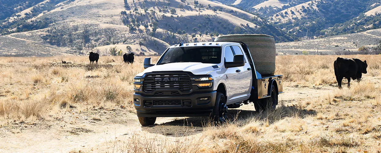 a Ram truck fully loaded on the job site with a herd of cows