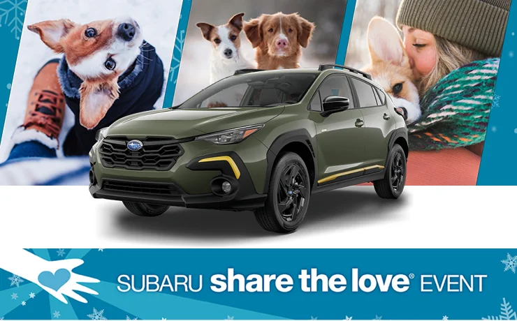 Lots of love for the Holidays background