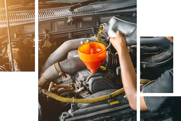 Mechanic changing the oil on a vehicle