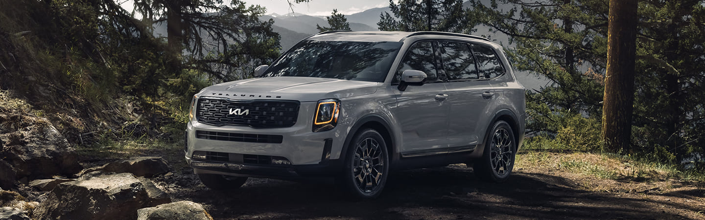 Kia Telluride grey in woods