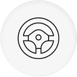 Vehicle feature icon