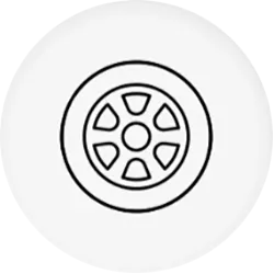 Vehicle feature icon