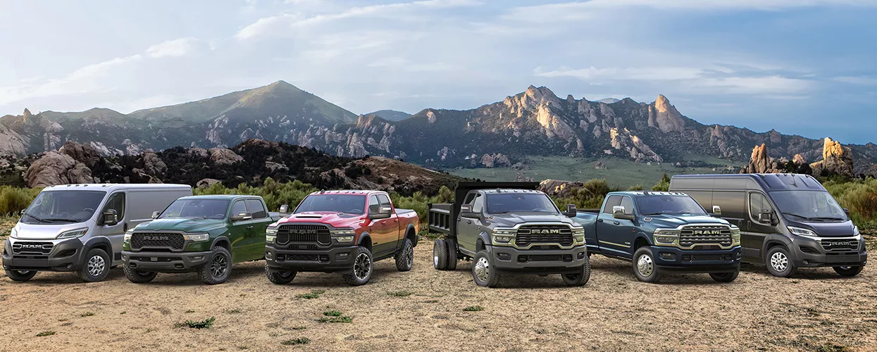 lineup of Fleet Vehicle Sales at Jerry Ulm Tampa Bay
