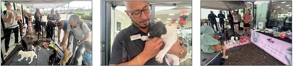 Rescue animal and volunteer