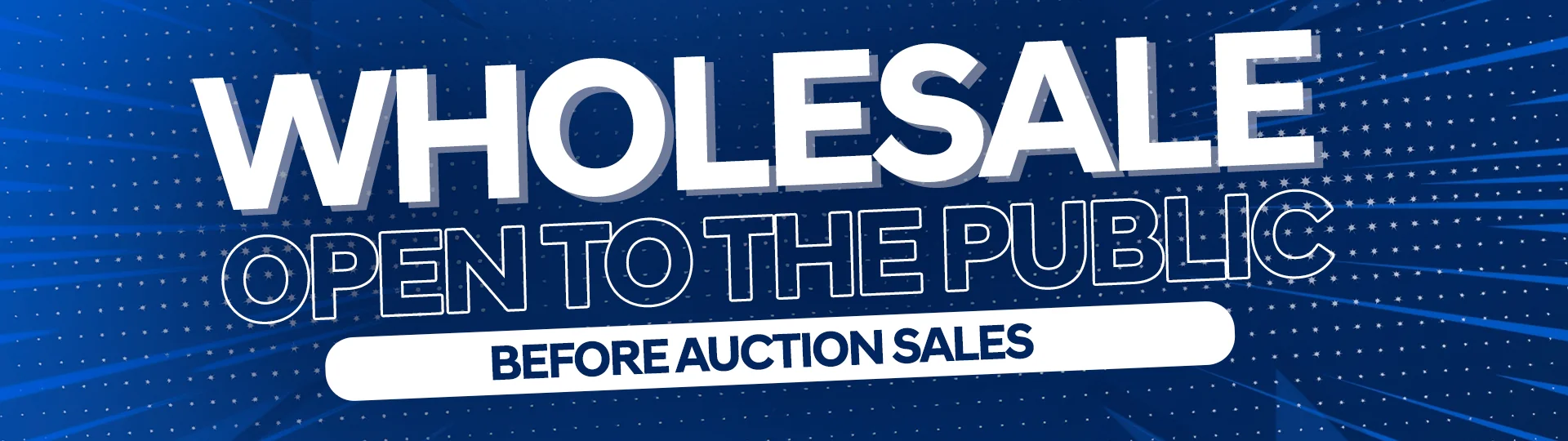 Wholesale open to the public before auction sales