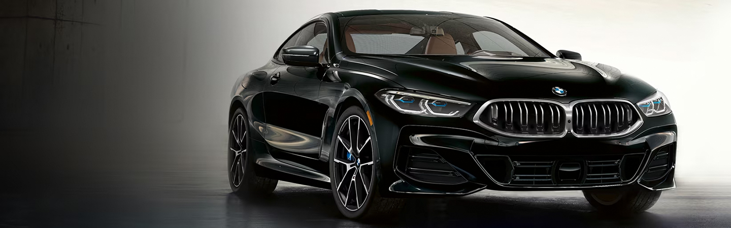2024 BMW 8 Series Specs black frontview