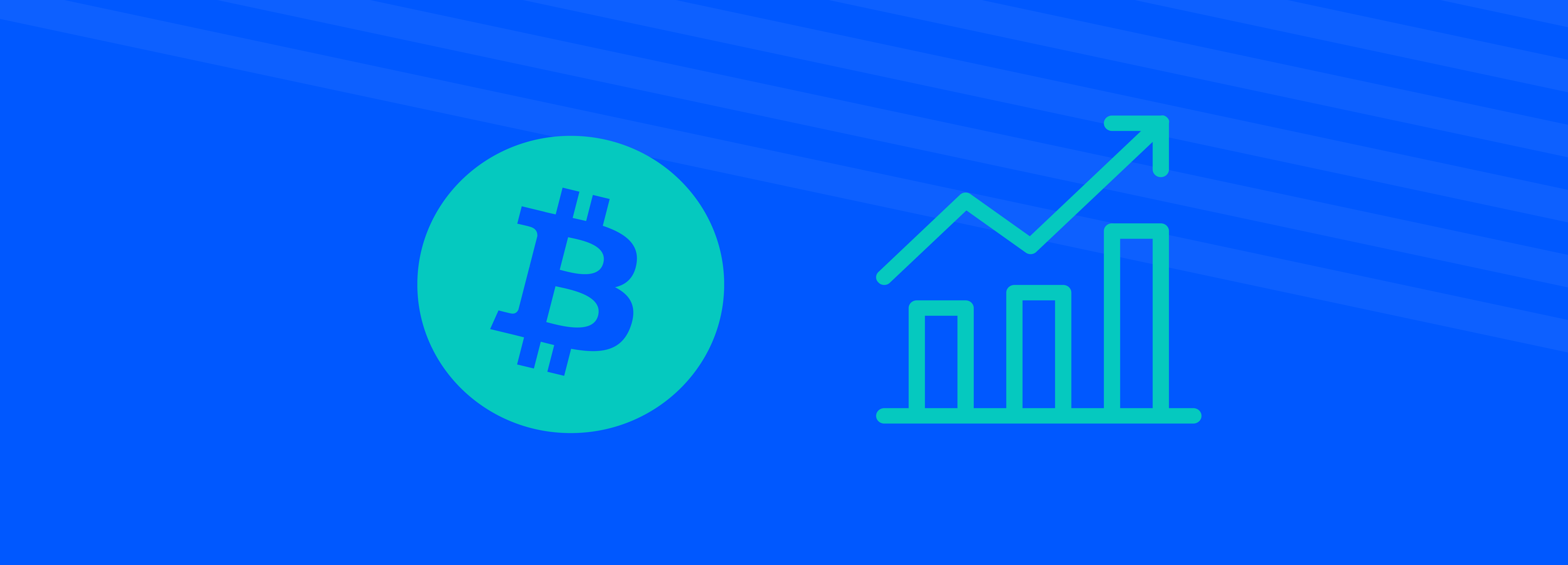 DBX Digital Ecosystem