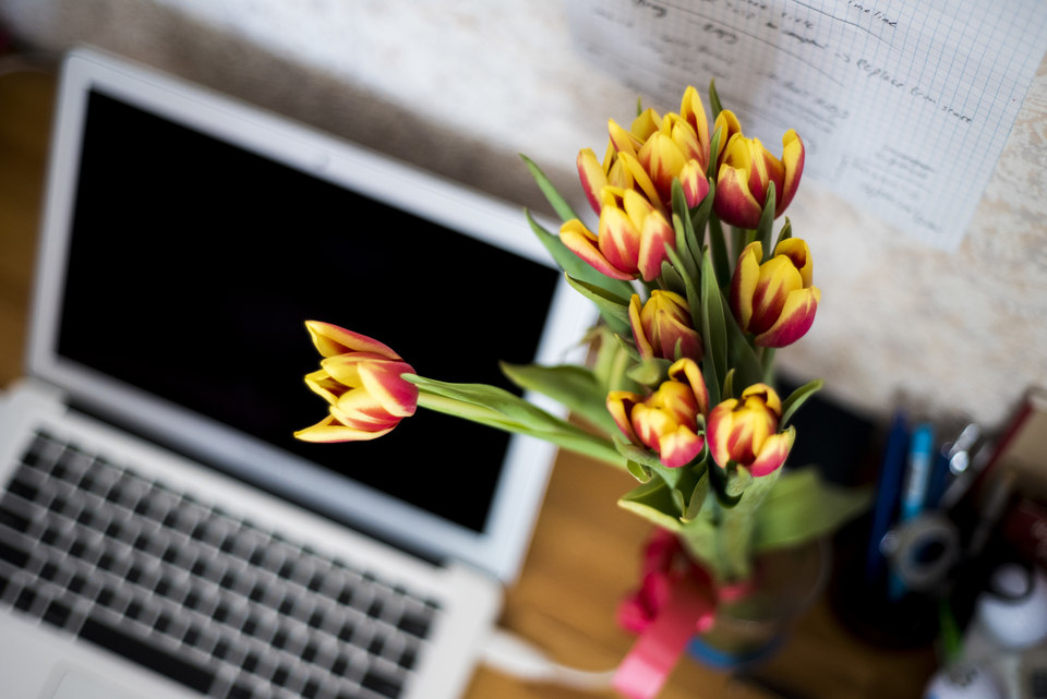 Strategy - Where Can I Figure Out Where to Focus in My Business?