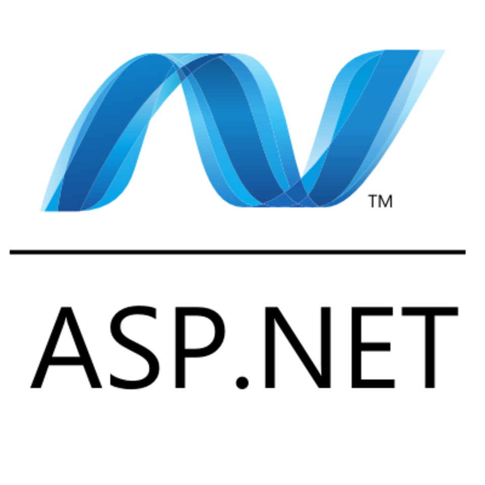 I Will Give You Advise and Support on Website Development in .net Technologies.