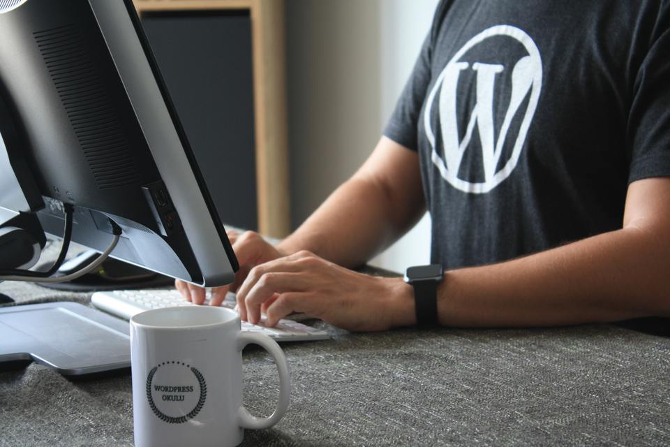 WordPress Strategy and Development