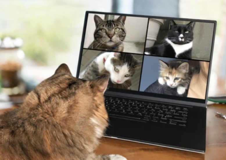 Building Data Driven Teams Tanya Chernaya Clarity