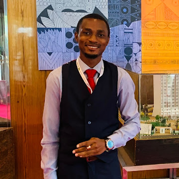 Ademide Adewale - I Will Build Financial Models, Automated KPIs ...