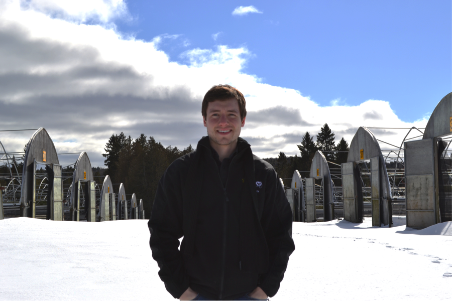 David Brown Industrial Microbiology Design & Biotech StartUps Expert