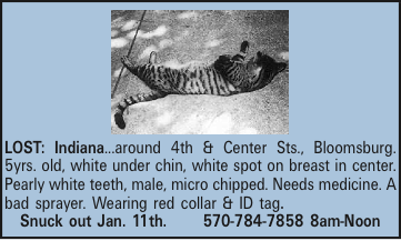 LOST: Indiana...around 4th & Center Sts., Bloomsburg. 5yrs. old, white under chin, white spot on breast in center. Pearly white teeth, male, micro chipped. Needs medicine. A bad sprayer. Wearing red collar & ID tag. Snuck out Jan. 11th. 570-784-7858 8am-Noon