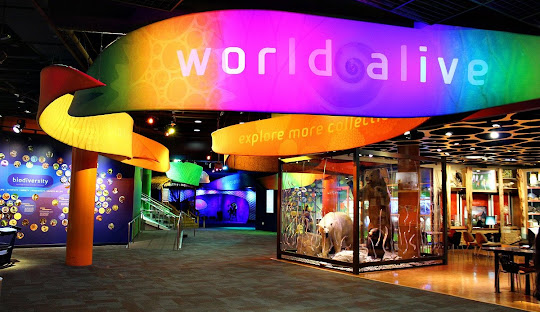 Charlotte’s Early History: From Catawba Roots to Colonial Settlement