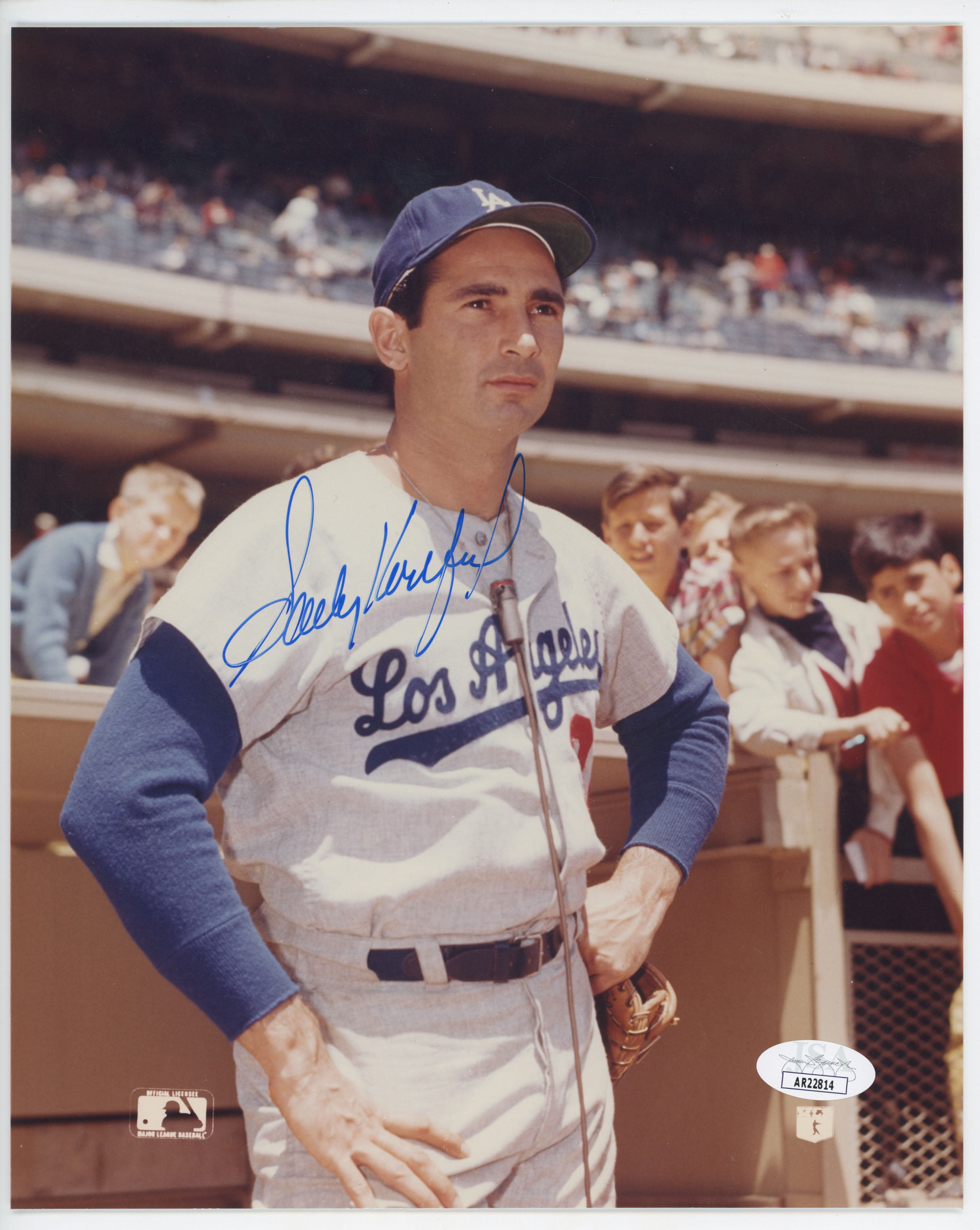 8 x 10  Koufax, Sandy 9 JSA LOA (CARD)