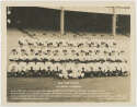 1953 Photo  New York Yankees Vintage Team Photo  
