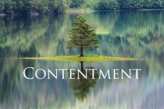 A tree growing on an island in a lake

AI-generated content may be incorrect.