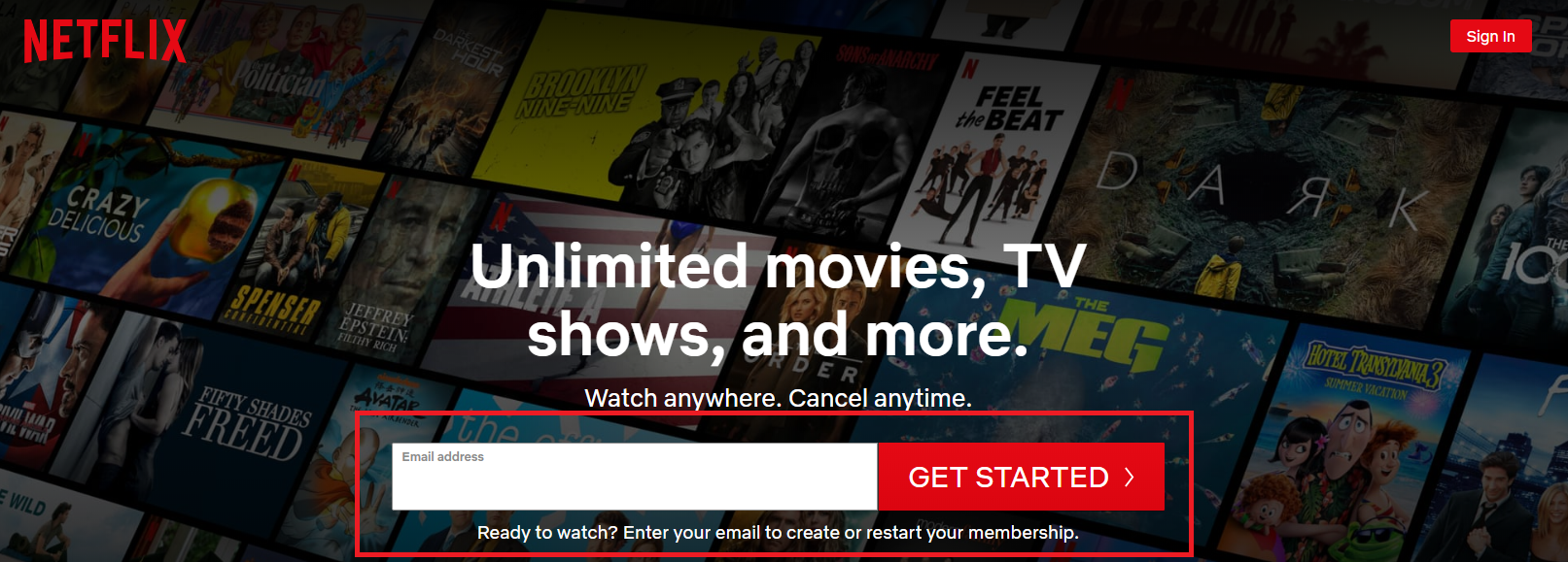 Netflix web interface